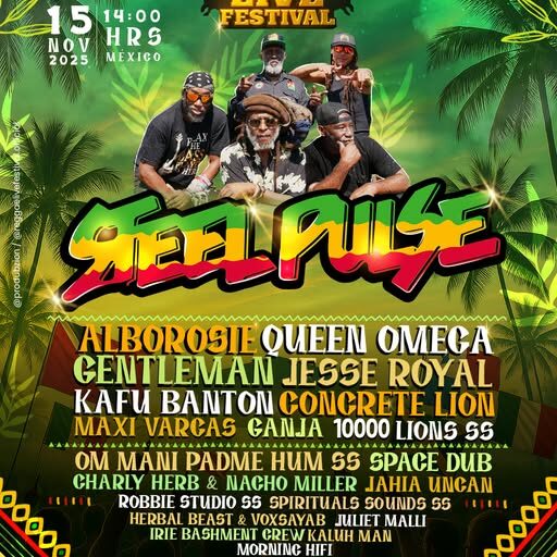 reggae live festival